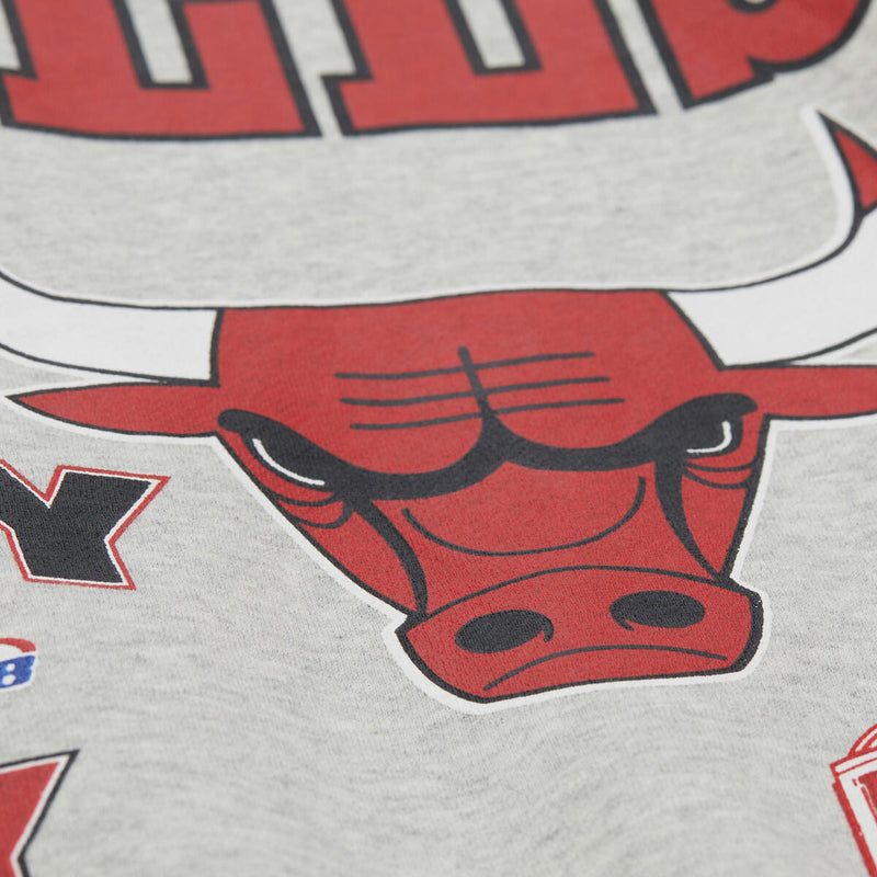 NBA AOP FLEECE CREW CHICAGO BULLS - Image 3 NBA AOP FLEECE CREW CHICAGO BULLS - Image 3