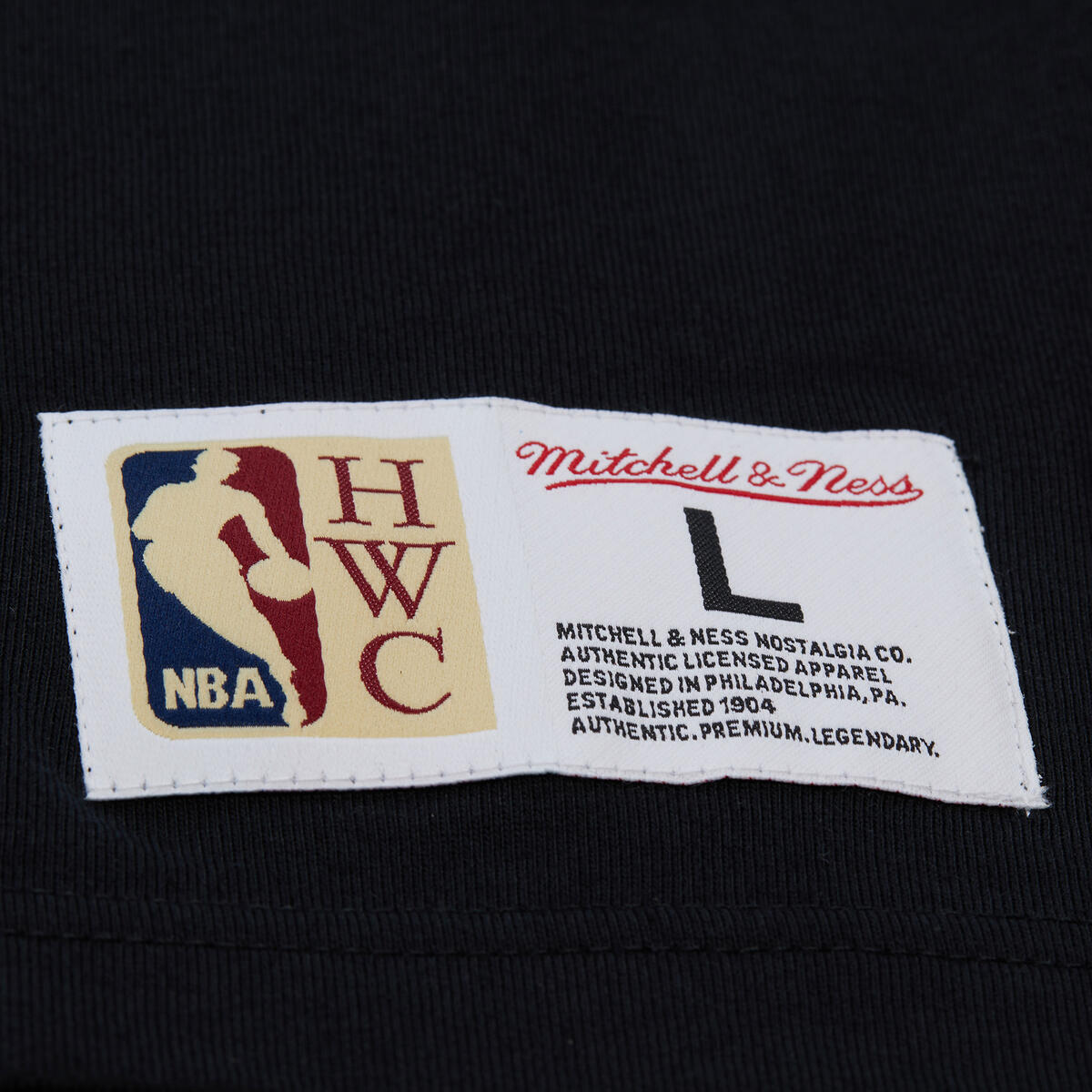 NBA TRAINING DAY PREMIUM SS TEE VINTAGE LOGO RAPTORS Black FC9288-TRABLCK - Image 5