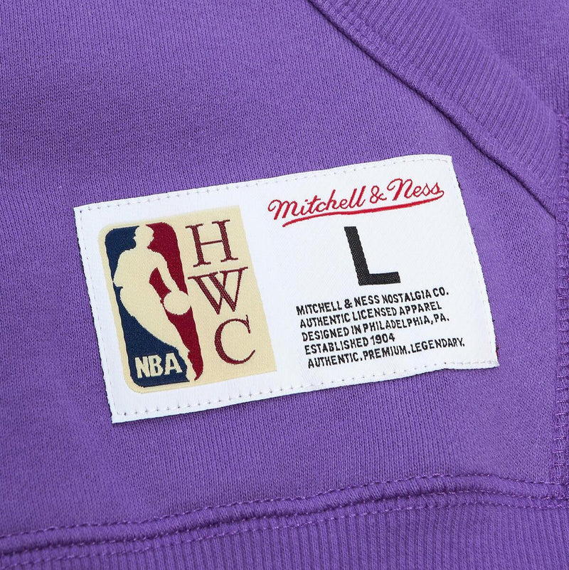 NBA M&N CITY COLLECTION FLEECE HOODIE RAPTORS Raptors Purple FPHD4987-TRAYYPPPRTPR - Image 4 NBA M&N CITY COLLECTION FLEECE HOODIE RAPTORS Raptors Purple FPHD4987-TRAYYPPPRTPR - Image 4