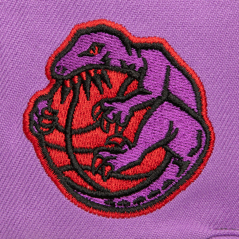 NBA LOGO ECLIPSE SNAPBACK HWC RAPTORS Purple HS9627-TRAPURP - Image 3 NBA LOGO ECLIPSE SNAPBACK HWC RAPTORS Purple HS9627-TRAPURP - Image 3