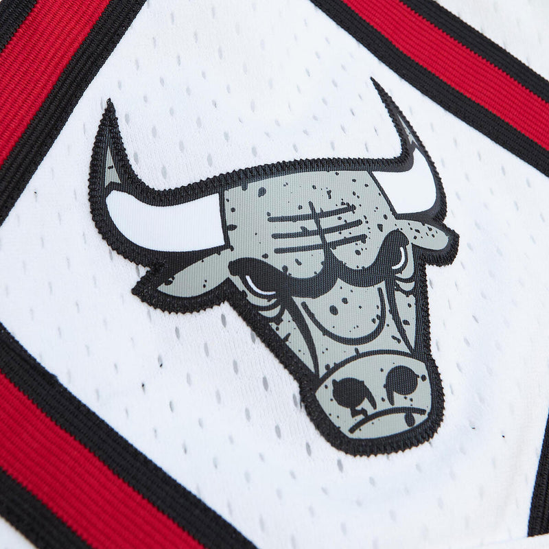 NBA CRACKED CEMENT SWINGMAN SHORTS BULLS 1997 - Image 3 NBA CRACKED CEMENT SWINGMAN SHORTS BULLS 1997 - Image 3
