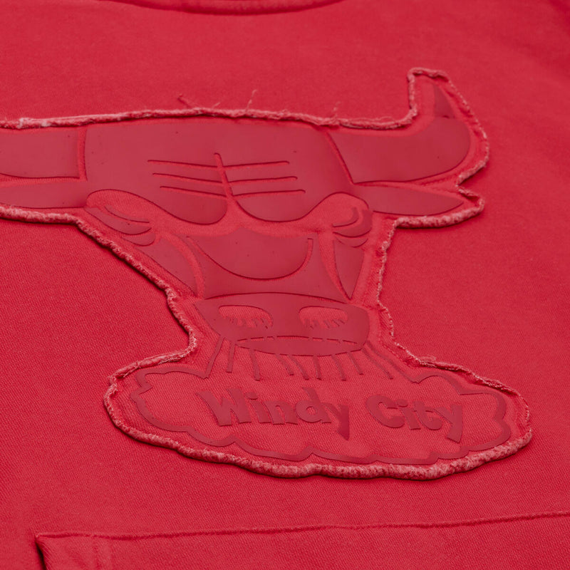 NBA DOWNTOWN COLLECTION FLEECE HOODIE CHICAGO BULLS - Image 3 NBA DOWNTOWN COLLECTION FLEECE HOODIE CHICAGO BULLS - Image 3