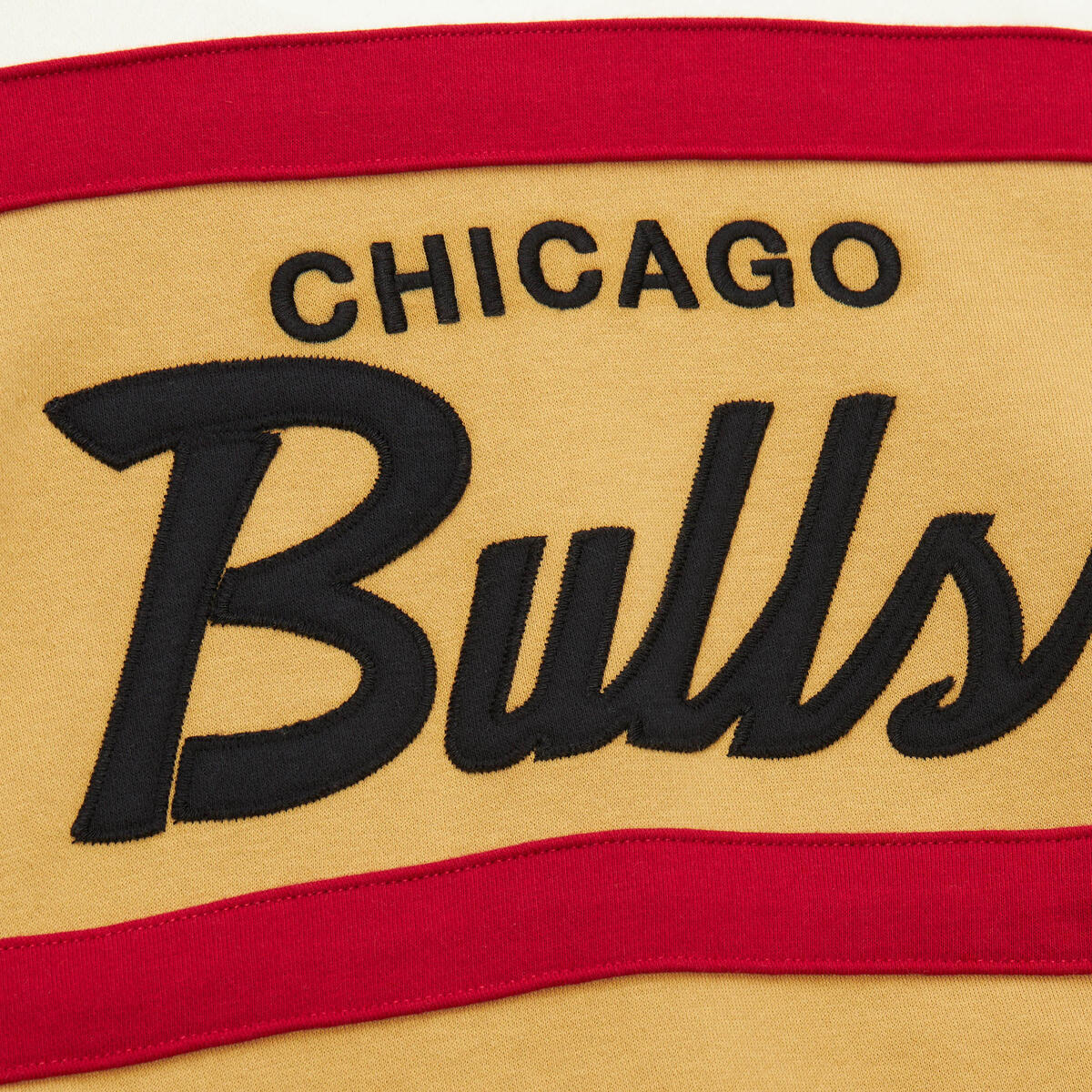 NBA HEAD COACH HOODIE BULLS - Image 5