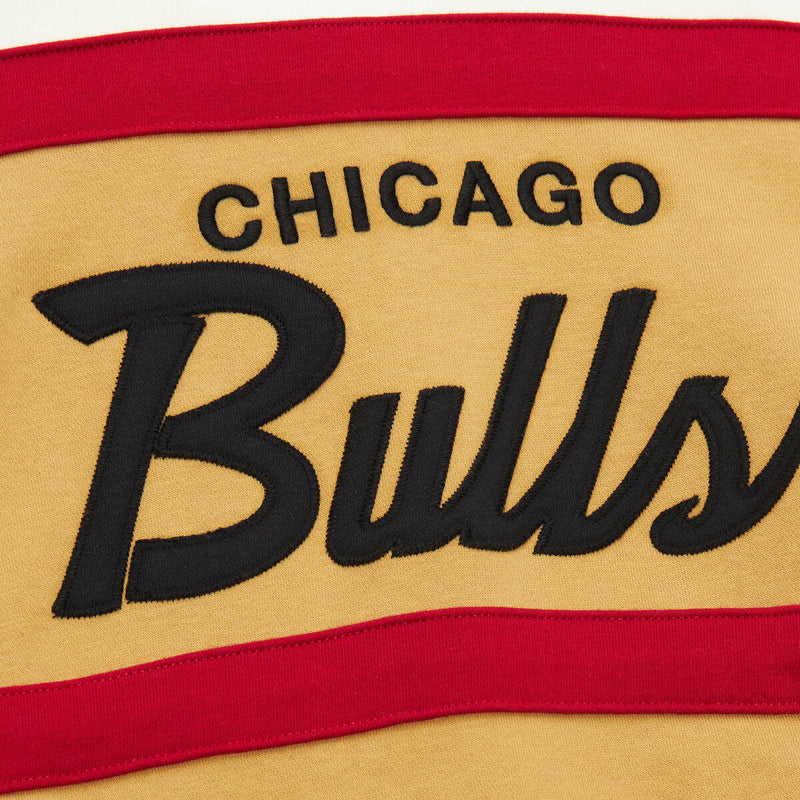 NBA HEAD COACH HOODIE BULLS - Image 5 NBA HEAD COACH HOODIE BULLS - Image 5