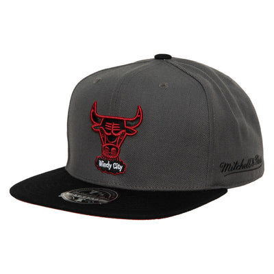 NBA BORN AND BRED FITTED HWC BULLS - Grey-Black - Image 1