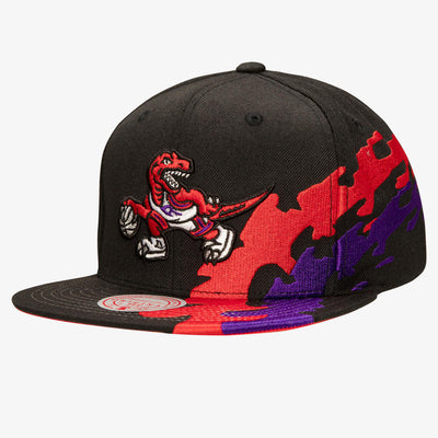NBA HAPPY TREES SNAPBACK HWC RAPTORS - Black