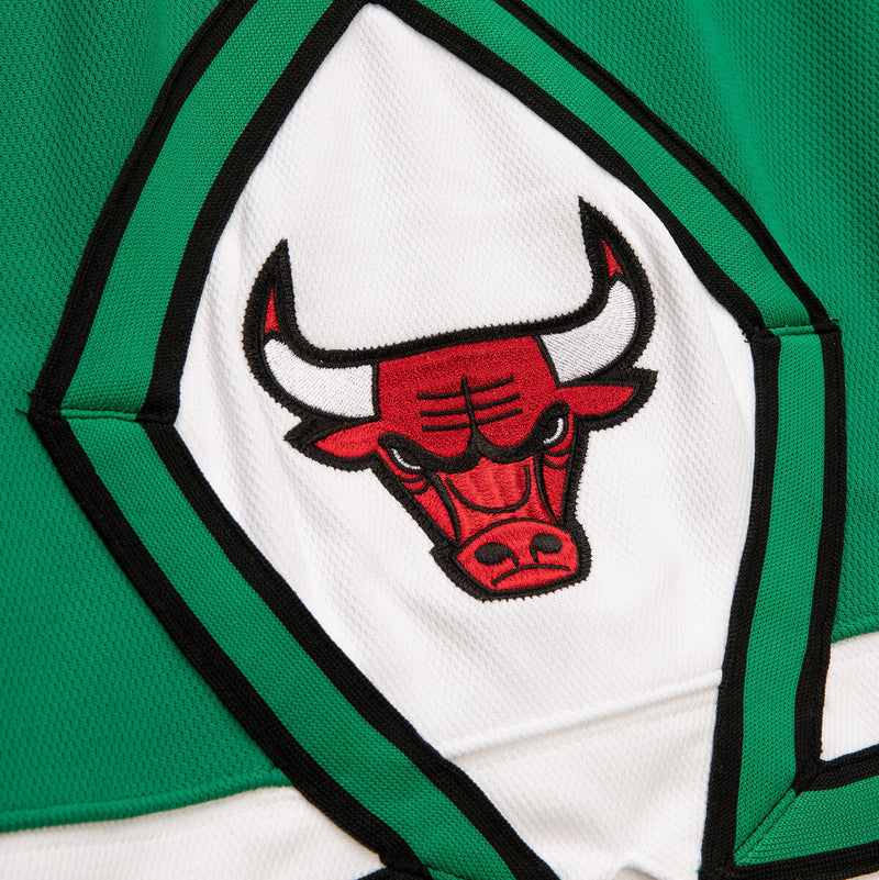 NBA AUTHENTIC SHORTS BULLS 08 - KELLY GREEN - Image 3