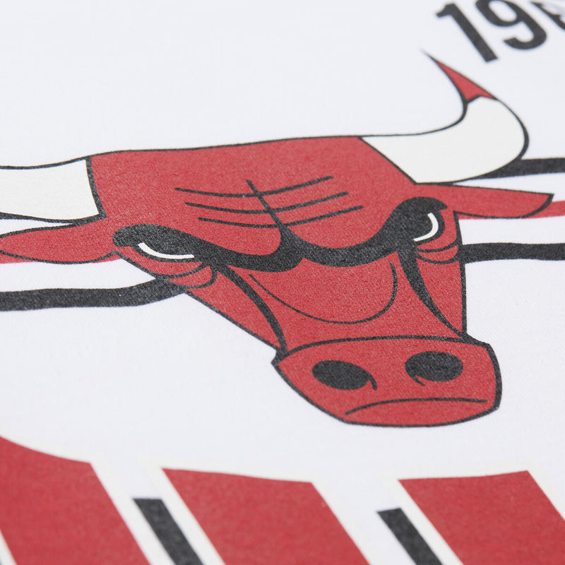 NBA TEAM ORIGINS PREMIUM SS TEE VINTAGE LOGO BULLS - White - Image 3