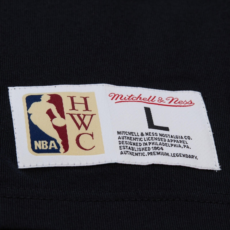 NBA TRAINING DAY PREMIUM SS TEE VINTAGE LOGO RAPTORS Black FC9288-TRABLCK - Image 5