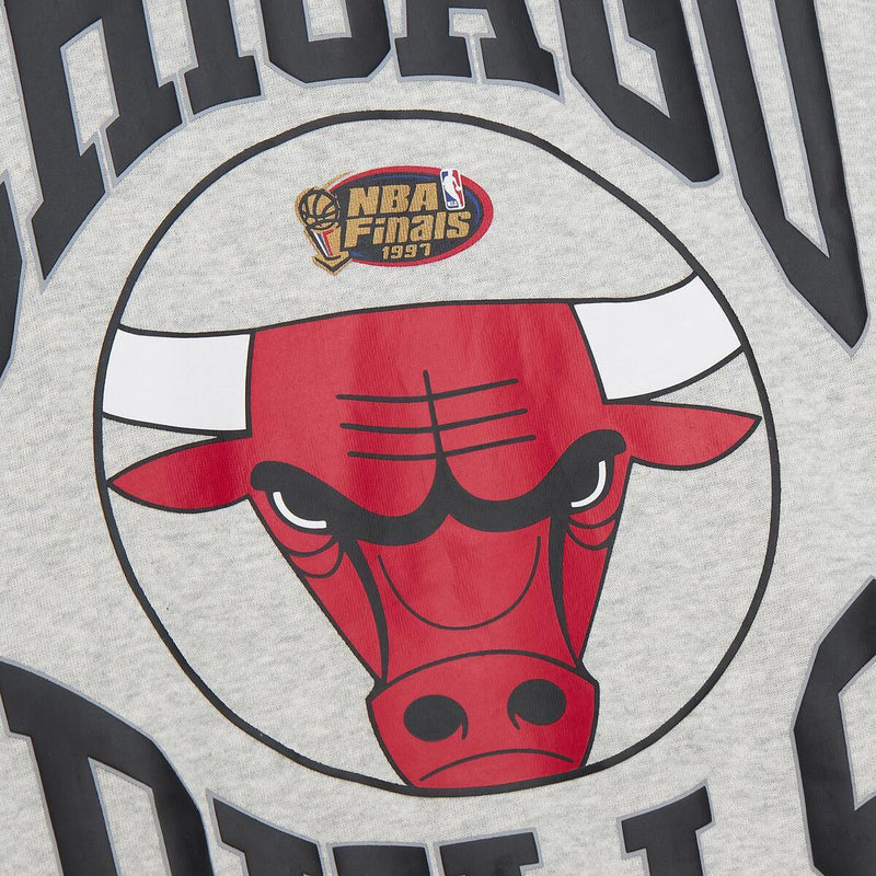 NBA WOMEN'S LOGO LIGHTWEIGHT CREW 3.0 BULLS - Image 6