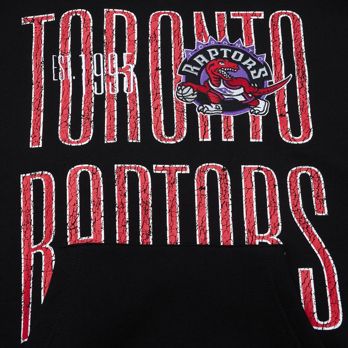 NBA TEAM OG FLEECE 2.0 RAPTORS Black FPHD5524-TRAYYPPPBLCK - Image 4