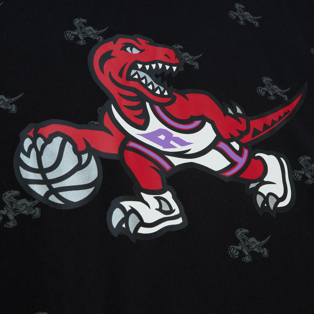 NBA AOP FLEECE HOODIE RAPTORS Black FPHD5940-TRAYYPPPBLCK - Image 3