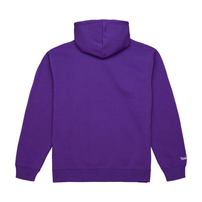 NBA TONAL LOGO HEAVYWEIGHT FLEECE KINGS Purple FPHD6063-SKIYYPPPPURP - Image 2