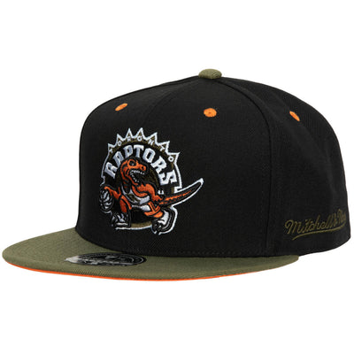 NBA TAKE FLIGHT FITTED HWC RAPTORS Black-Green HHSF5082-TRAYYPPPBKGN - Image 1