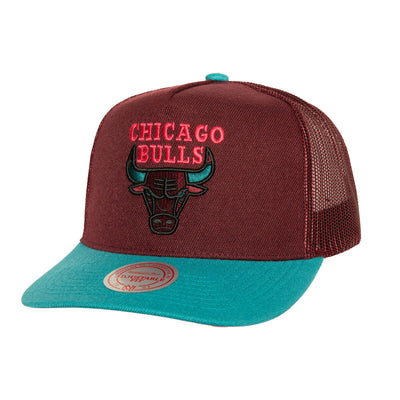 NBA CAKE EATER TRUCKER NBA BULLS - Purple - Image 1