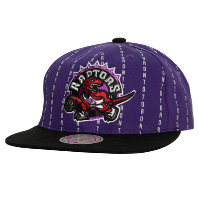 NBA CITY PINSTRIPE DEADSTOCK HWC RAPTORS Purple HMUS5802-TRAYYPPPPURP - Image 1