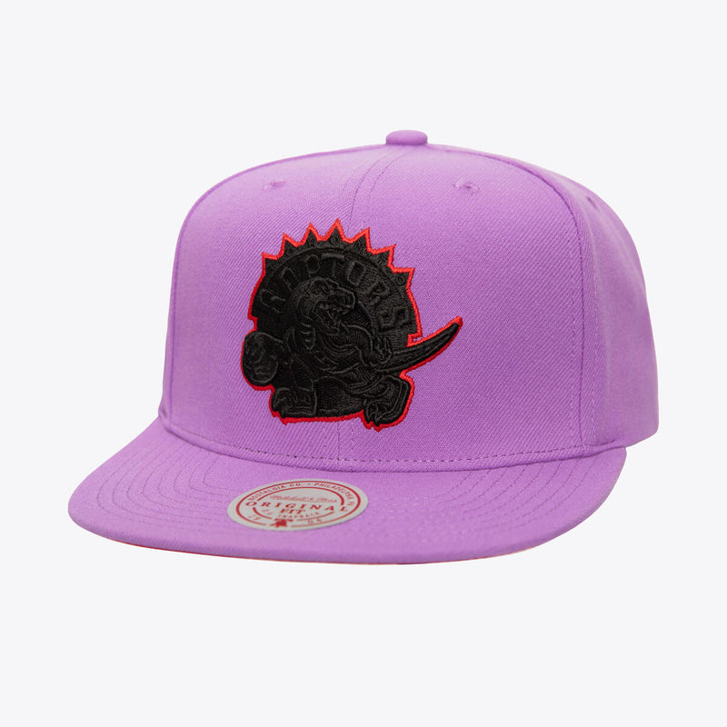 NBA LOGO ECLIPSE SNAPBACK HWC RAPTORS Purple HS9627-TRAPURP - Image 1