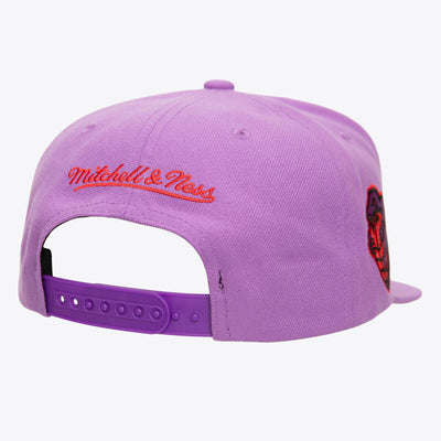 NBA LOGO ECLIPSE SNAPBACK HWC RAPTORS Purple HS9627-TRAPURP - Image 2