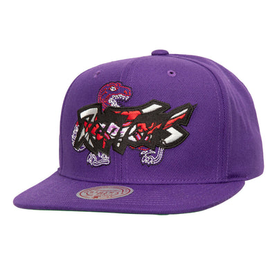 NBA DOUBLE UP SNAPBACK HWC RAPTORS Purple HS9644-TRAPURP - Image 1