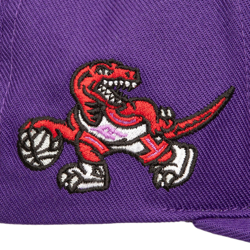 NBA DOUBLE UP SNAPBACK HWC RAPTORS Purple HS9644-TRAPURP - Image 3