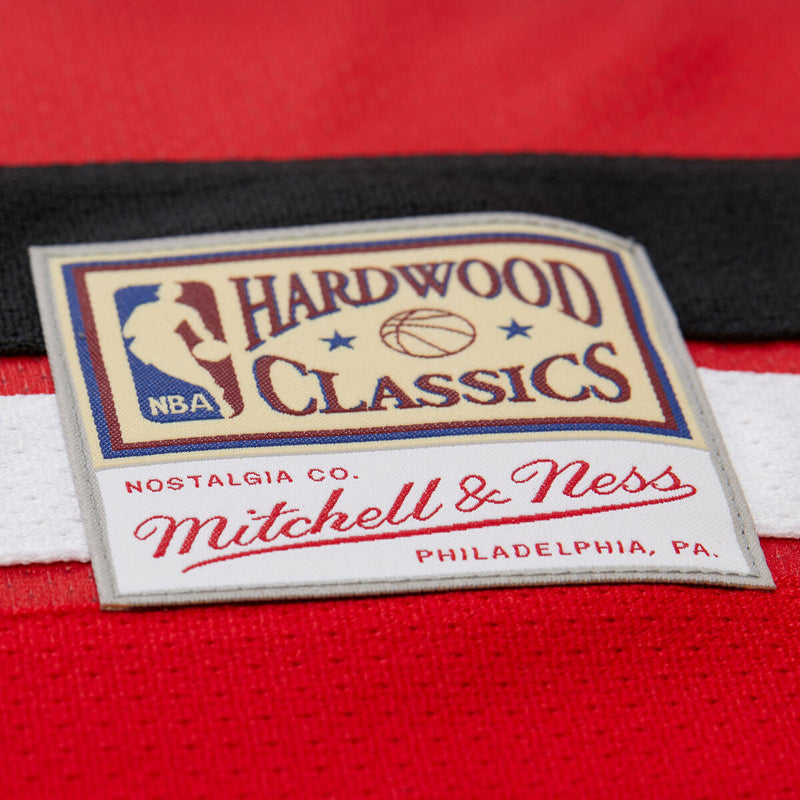 NBA MAXXED OUT FASHION HOCKEY JERSEY HAWKS DIKEMBE MUTOMBO - Image 4