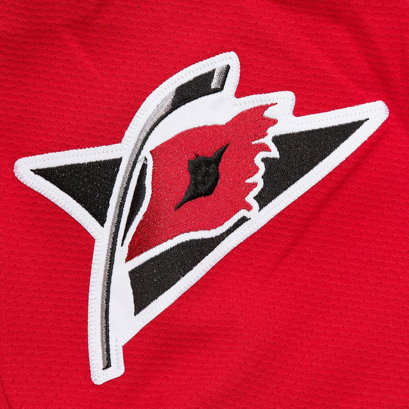 NHL DARK JERSEY HURRICANES 2005 ROD BRIND'AMOUR - Red - Image 7