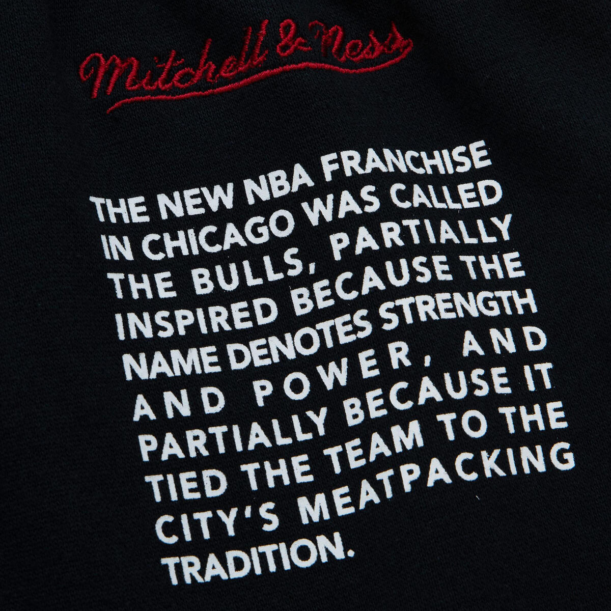 NBA TEAM ORIGINS FLEECE SHORTS BULLS - Image 5