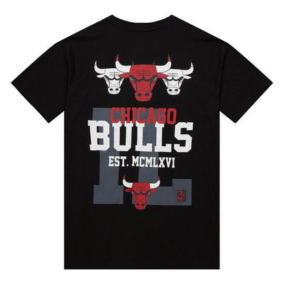 NBA HOME TEAM SS TEE HWC BULLS Black SS10001-CBUBLCK - Image 2