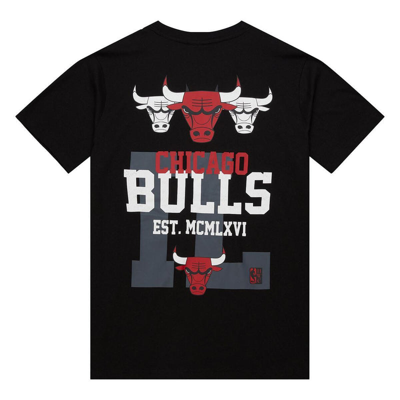 NBA HOME TEAM SS TEE HWC BULLS Black SS10001-CBUBLCK - Image 2