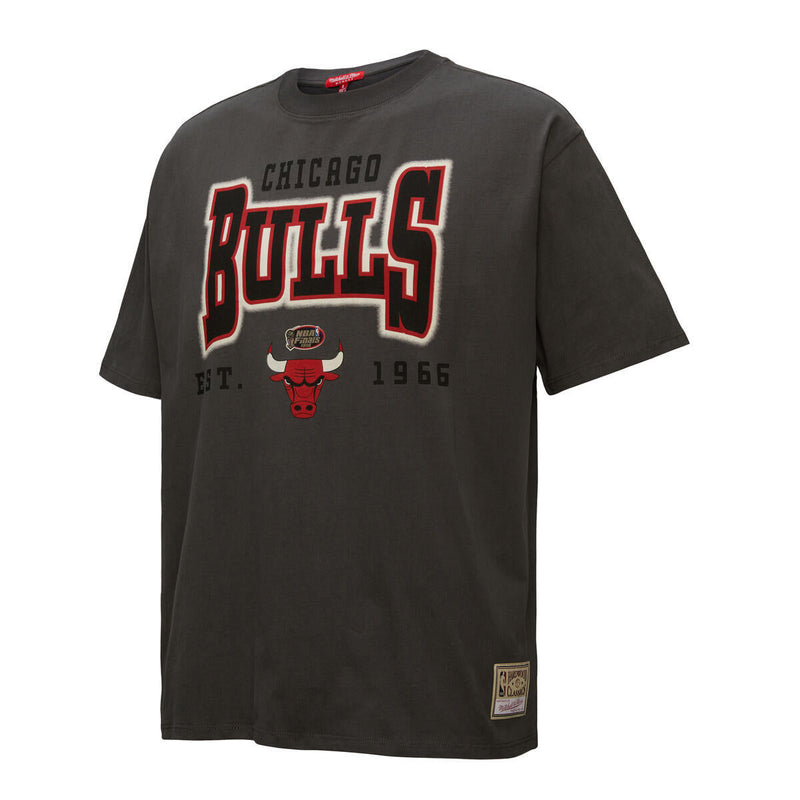 NBA WOMEN'S LOGO BOYFRIEND TEE BULLS - Image 8