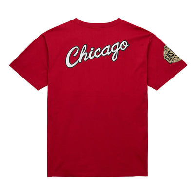 NBA TEAM OG 2.0 PREMIUM SS TEE VINTAGE LOGO BULLS - Scarlet - Image 2