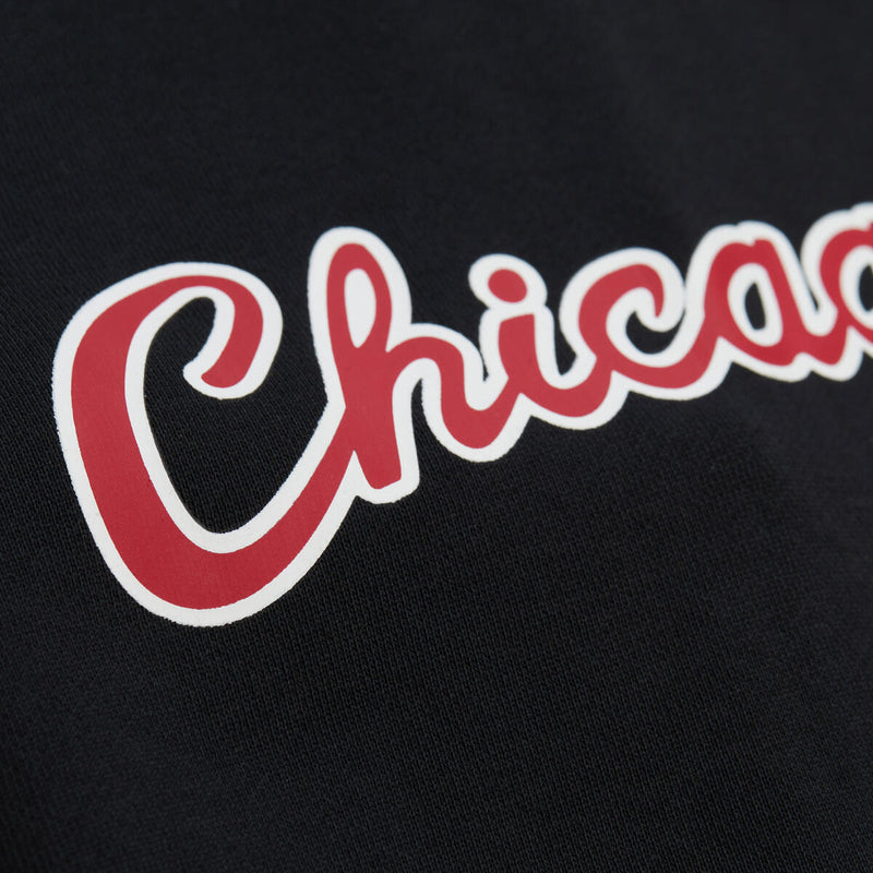 NBA MAXXED OUT HOODIE BULLS DENNIS RODMAN - Image 4