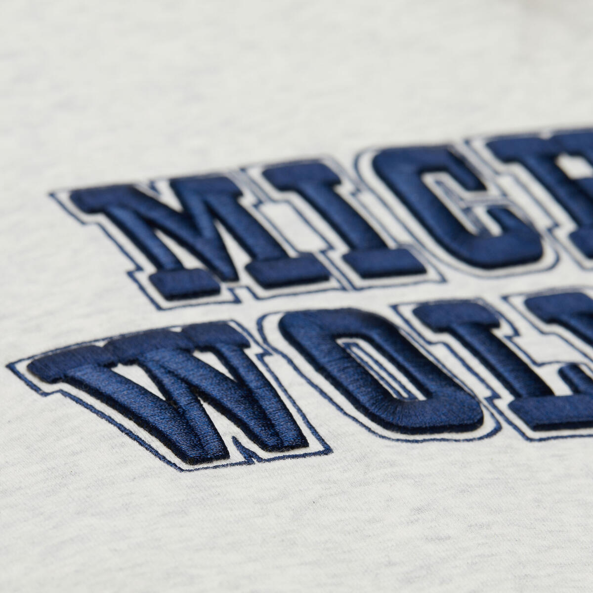 NCAA OFF SEASON FLEECE HOODIE MICHIGAN WOLVERINES - Image 3