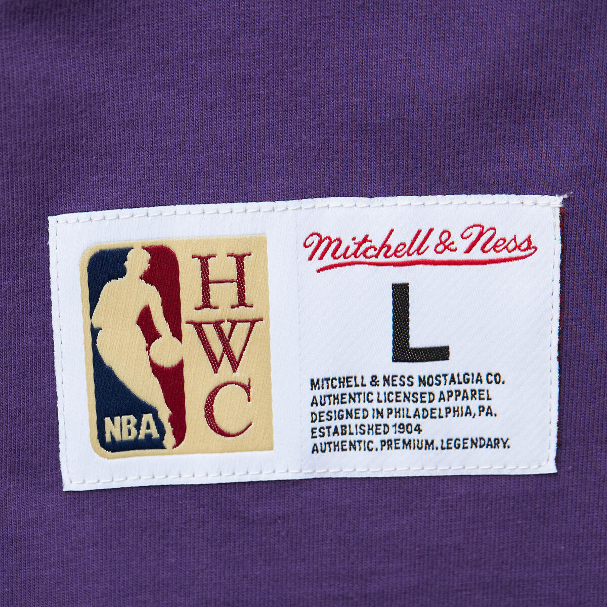 NBA HEAVYWEIGHT PREMIUM PLAYER TEE VINTAGE LOGO LAKERS ERVIN JOHNSON - Image 10