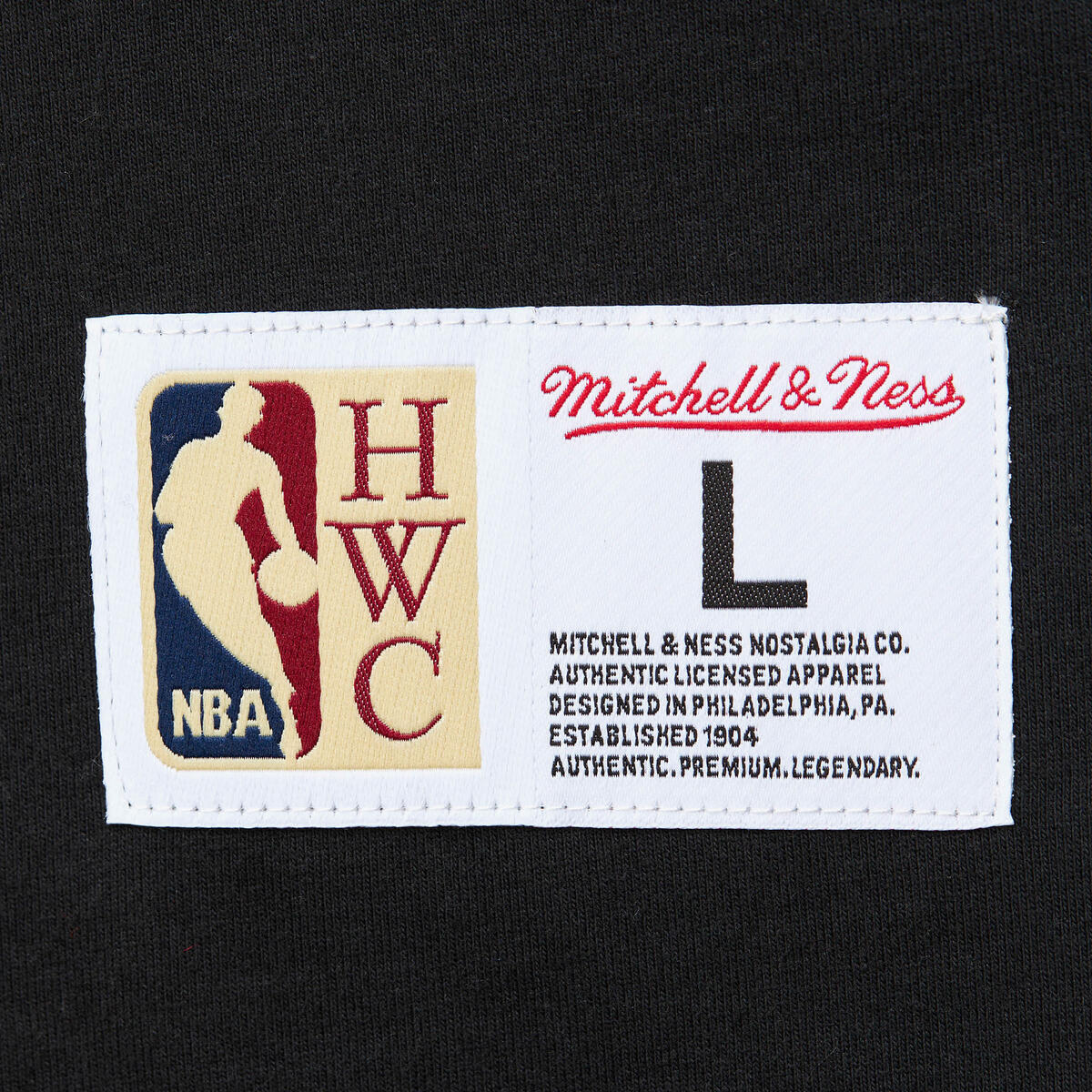 NBA HEAVYWEIGHT PREMIUM PLAYER TEE VINTAGE LOGO TIMBERWOLVES KEVIN GARNETT - Image 9