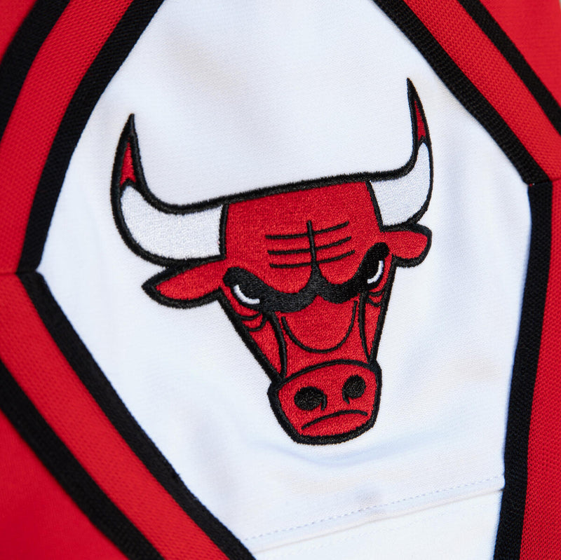 NBA JUST DON X MN PANTS BULLS - Red - Image 6